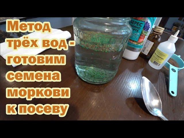 Метод трёх вод - подготовка семян моркови к 100% всхожести
