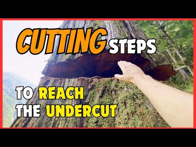 174. PowerWedge on a 7ft Tree | Undercut Trick