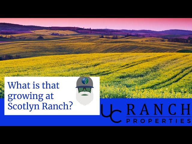 Farm ground for sale at Scotlyn Ranch Kamiah, Idaho