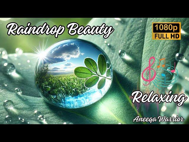 Stunning Rain Droplet Close Up | Nature's Tiny Wonders | Raindrop Beauty