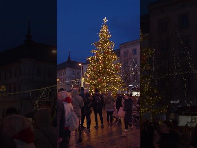 Brno at Christmas #brno #czech #christmas #christmas @vanocebrno