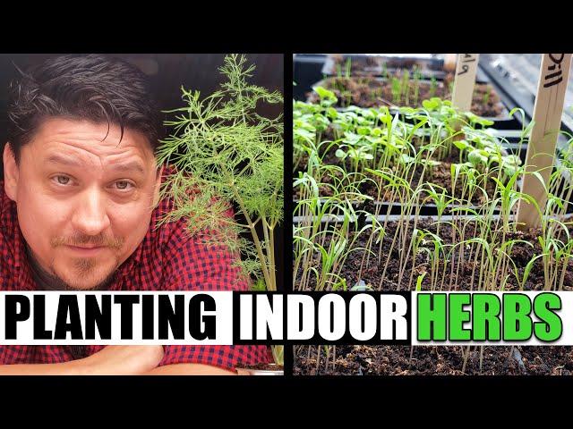 Easiest Way To Plant Your Indoor Herbs! - Garden Quickie Episode 113