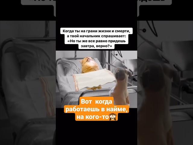 ПРАВИЛЬНО, НАЧНИ РАБОТАТЬ НА СЕБЯ!️ #ОНЛАЙНБИЗНЕС #ИНТЕРНЕТ #shorts #ВАКАНСИИ #поискработы #россия