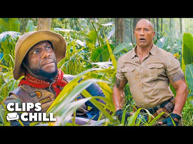 All The Best Kevin Hart & The Rock Scenes From The Jumanji Movies