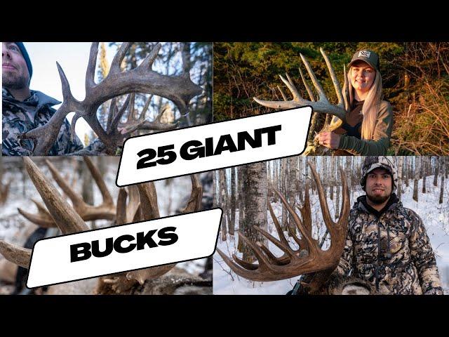 25 Whitetail Kill Shots in 30 Minutes - CANADIAN BUSH BUCKS (ULTIMATE DEER HUNTING COMPILATION)