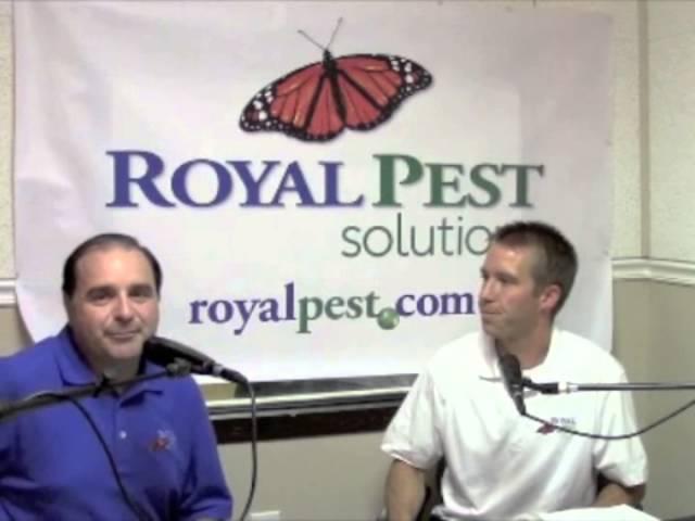 Royal Pest Solutions Ask the Entomologist WAMD 970 radio program - Bed Bugs