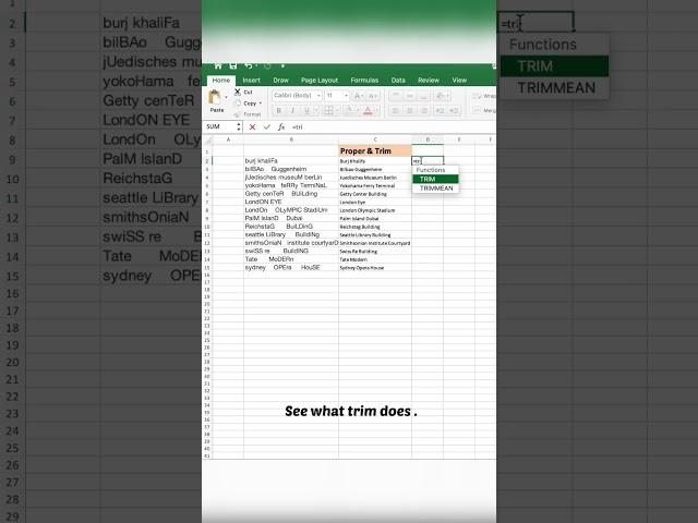 Proper & Trim excel function. #excel #exceltutorial #microsoftexcel #msexcel #excelshark