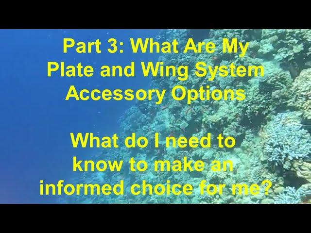 #50 - Part 3 - Backplate and Wing Systems:  Optional Accessories