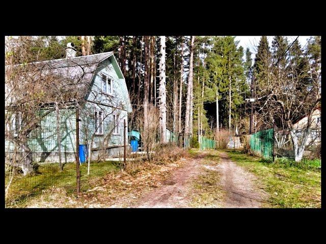 Walking Tour Russian Countryside,  Gruzino Village, Russia May 4, 2023