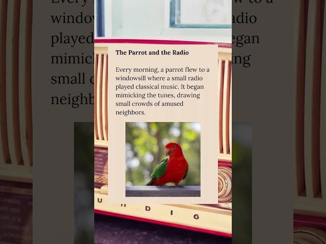 The Parrot and The Radio #wholesome #parrot