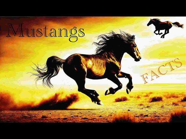 Mustang Facts: The Untamed Legends of North America