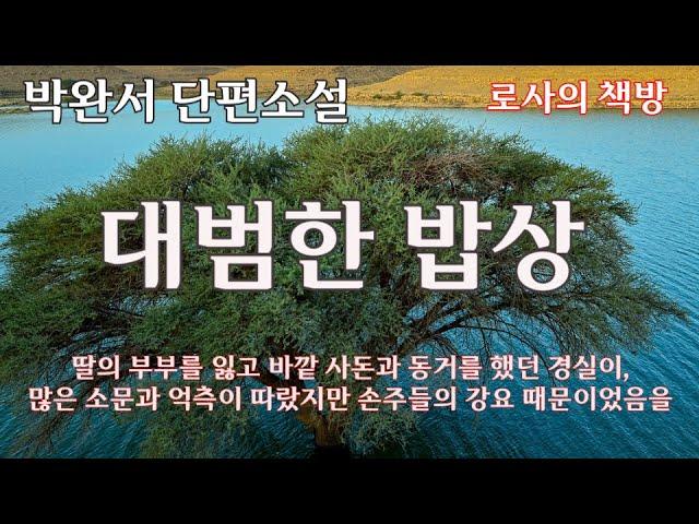 [박완서 단편소설/대범한 밥상]딸 내외를 잃고, 바깥사돈과 동거를 했던 여고 동창 경실이.../로사의 책방