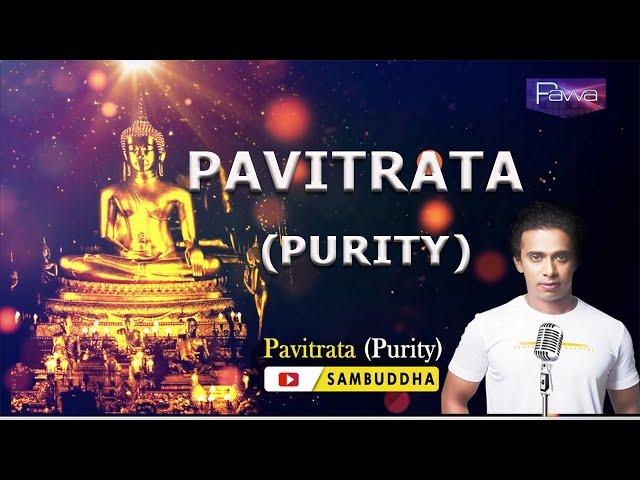 Pavitrata (Purity) l Video Song l Sambuddha l Pawa l Greatest Buddha Music l Musical Meditation