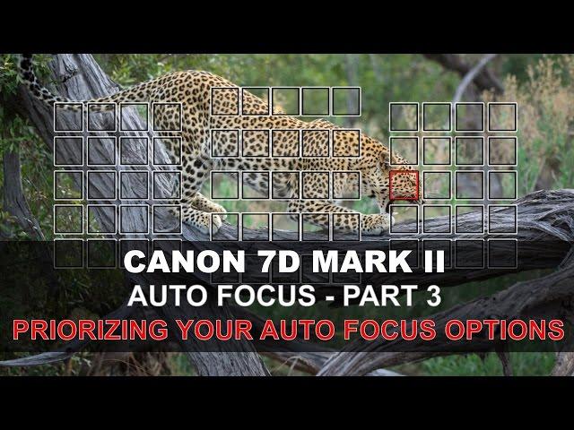 Canon 7D Mark II Auto Focus - Part 3/5: Prioritizing Your Autofocus Options