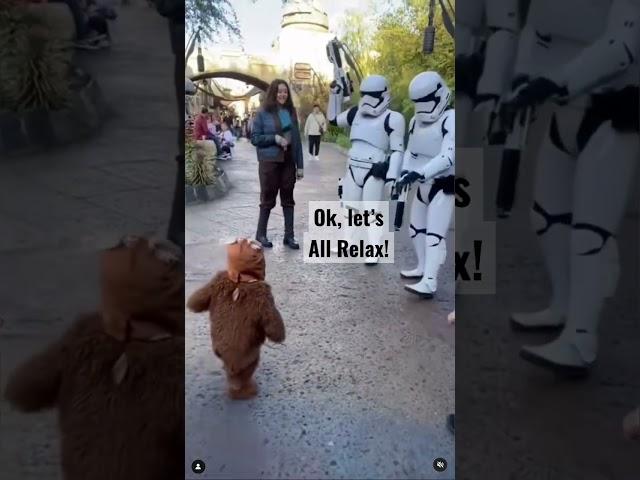 Ewok Seen in Galaxy’s Edge