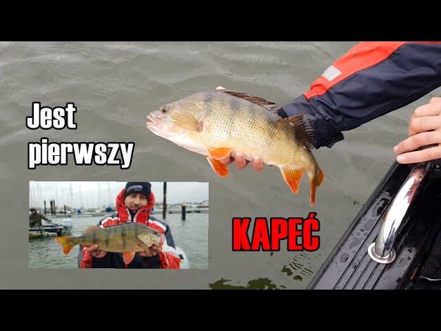 Big perch and hurricane in Netherlands