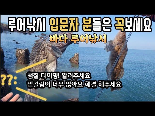 바다 루어낚시 입문자 분들은 꼭 봐야하는 영상 입니다