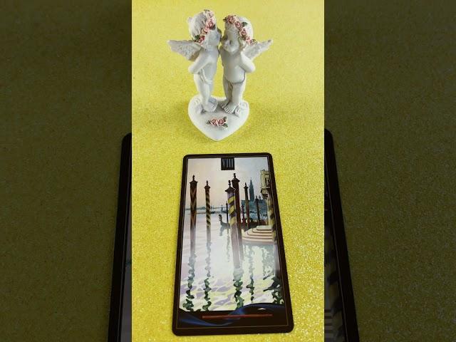 Aktuelle Liebesenergie #shorts #liebesorakel #tarot