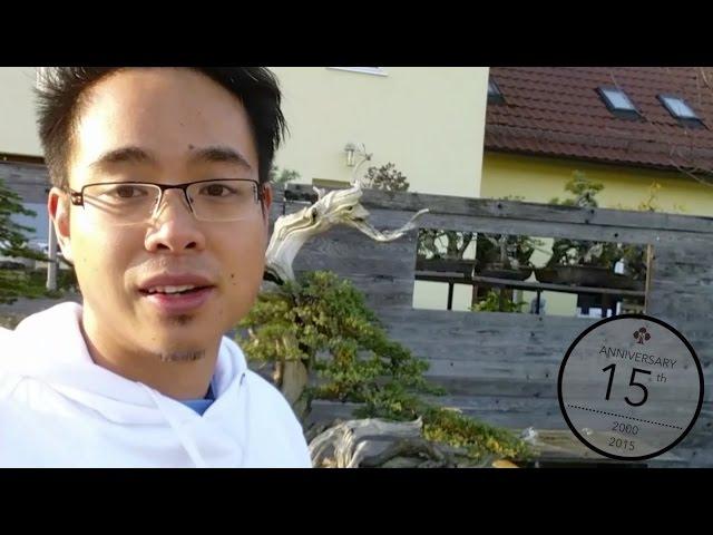 How to air layer a Bonsai, Michael Tran