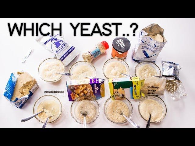 Types of Yeast in India - Dry, Active Instant and Fresh Yeast - CookingShooking