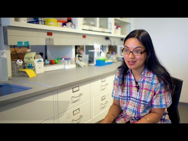 University of Missouri System - Research