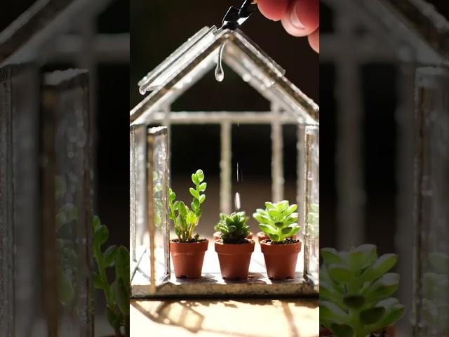 Building a Tiny Greenhouse World 
