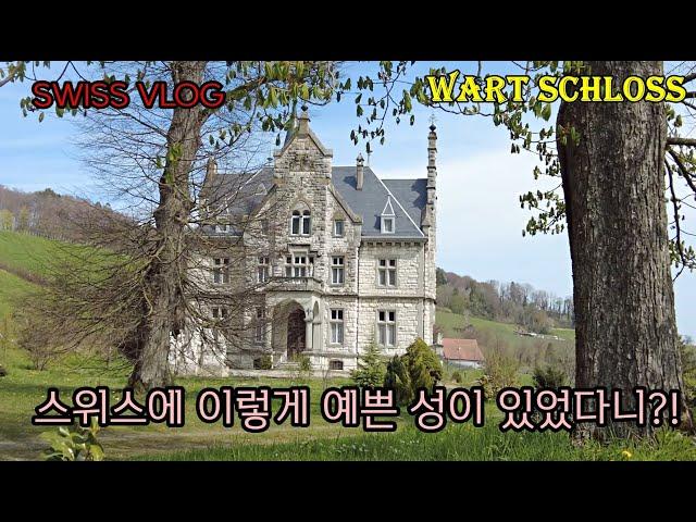 스위스 일상과 산책로 탐험/아름다운 성, Wart schloss,  Neftenbach, 산책하며 나물뜯기,  친구들과의 만남, 민들레가 덮힌 초원