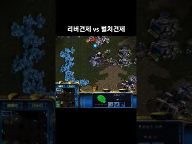 리버견제vs벌처견제 #스타크래프트 #래더 #리버 #프로토스 #벌처 #전략