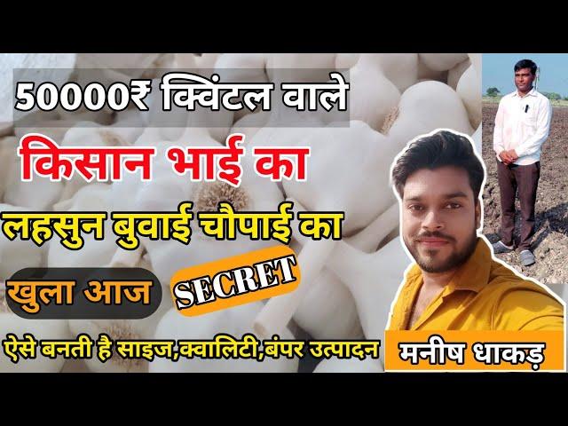 50000₹ क्विंटल लहसुन बेचने वाले किसान भाई कैसे करते है लहसुन की खेती | Lahsun Ki Kheti Kaise Kare