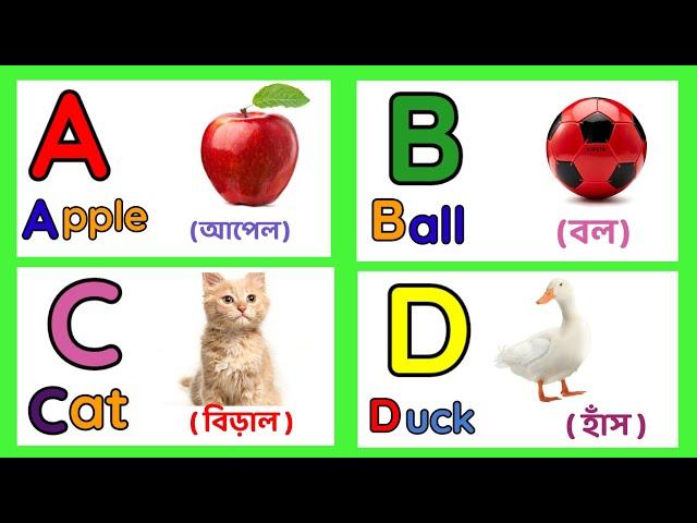 Learn Alphabet A To Z | English Alphabet With Life Example | ABC Preschool | A to Z acbd Video