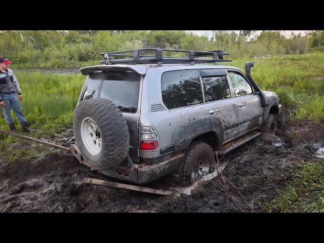 Как едет Land Cruiser 105 по болоту? Lexus LX 470 vs Land Cruiser 100 vs Terrano vs Hiace. OffRoad