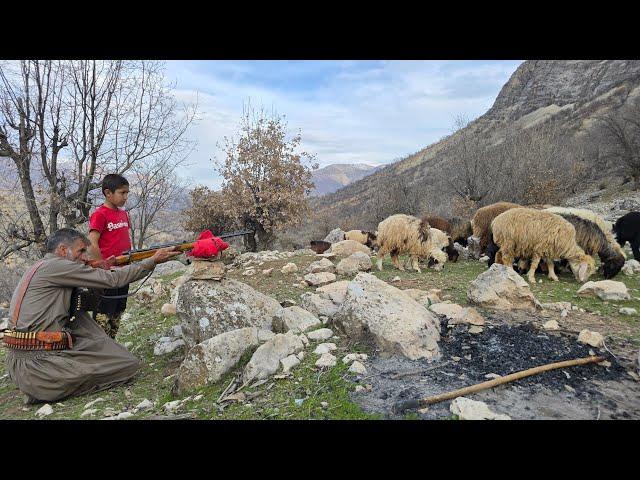 Iran nomadic life: Jahangir's journey to the heart of the mountain to graze sheep on a wonderful day