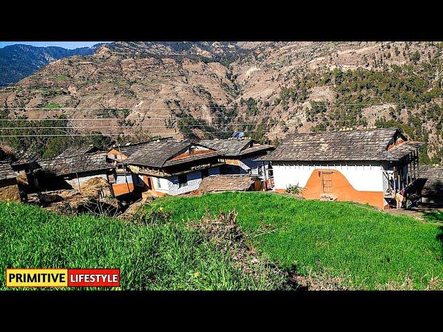 Poor But Very Happy Lifestyle of Nepali Mountain Village || Naturally Beauty || Primitive Lifestyle