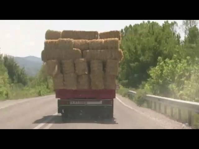 Bartın'da trafik canavarı kol geziyor