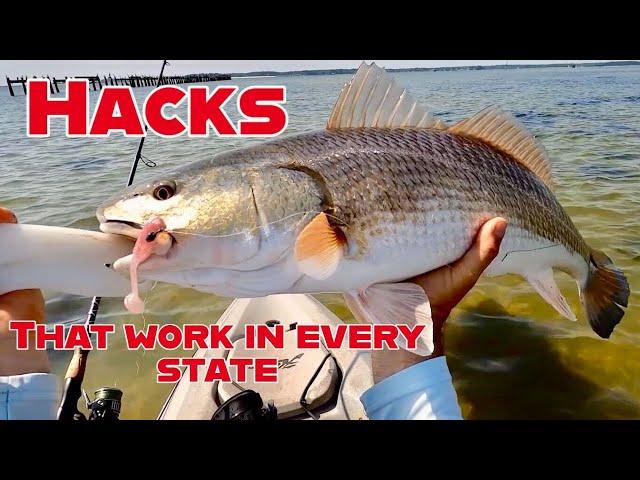 3 Inshore Fishing Hacks I Use To Find Fish In Every State