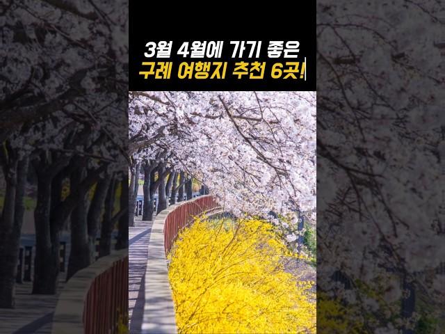 3월 4월에 꼭 가야할 구례 봄 여행지 추천 6곳!