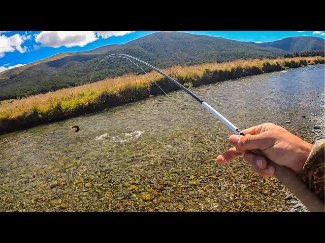 I Caught HUGE Trout from ULTRA Clear River