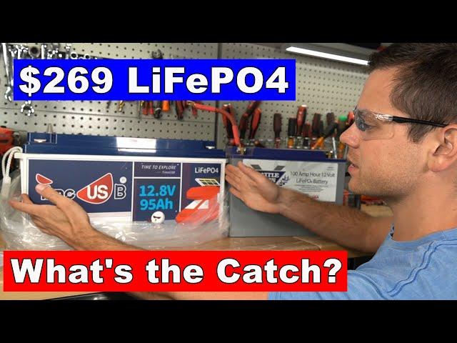 $269 12V LiFePO4: Worth the risk?