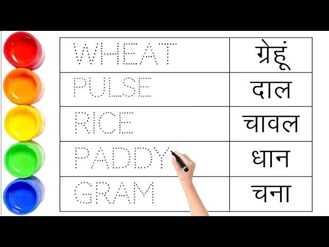 अनाज के नाम || Names of grains || Names of grains hindi and english || wheat pulse rice paddy