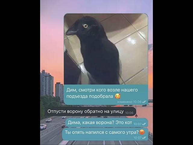 присмотрись!!