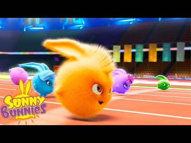 SUNNY BUNNIES - THE OLYMPIC RACE! | Season 1 COMPILATION | Cartoons for Kids