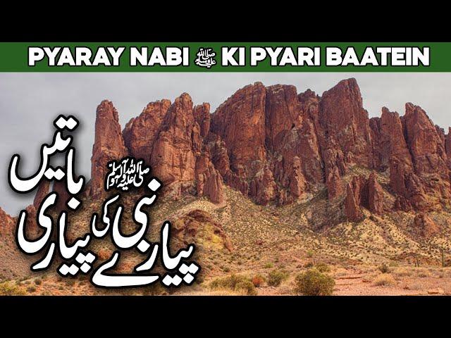 Payare Nabi Ki Payari Batein | Pyare Rasool Ki Pyari Baaten | Nabi Ki Baatein | Al Habib Islamic