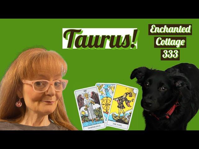 TAURUS  WHO IS THIS PERSON THAT KEPT HIJACKING YOUR READING? ROMANCE TAROT READING!