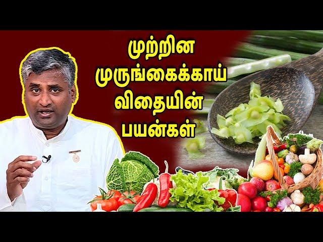 முற்றின முருங்கைக்காய் விதையின் பயன்கள்  | KAIKARI MARUTHUVAM | MEGA TV