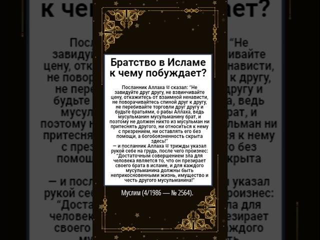 Братство в Исламе к чему побуждает?