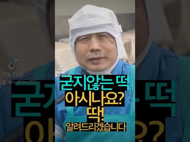 [떡공장 청년들] 굳지 않는 떡에 대해서 떡공청의 떡명인 이사님께서 알려드립니다!!!ㅣ떡 맛집ㅣ풍성한영농조합ㅣ틱톡