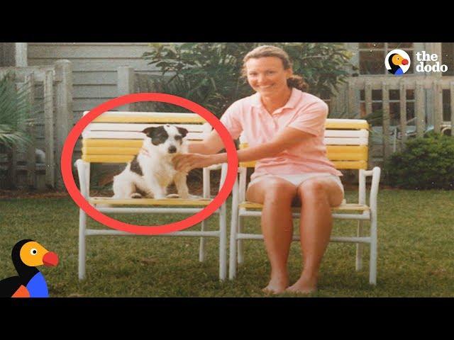 Ghost Dog Visits Family As A Spirit | The Dodo