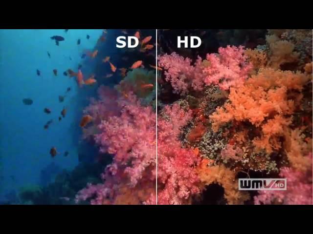 SD vs. HD in video resolution (sharp distinction)