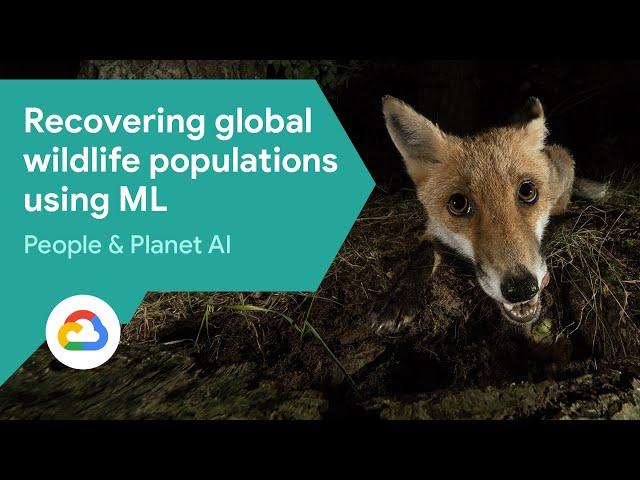 Recovering global wildlife populations using ML