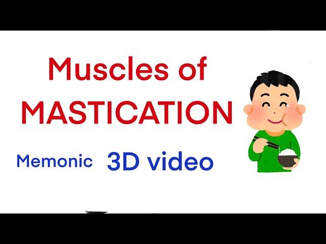 Muscles of Mastication Memonic /3D video / Easy to remember